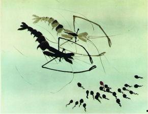 蝌蚪网国产,蝌蚪网引领绿色科技新潮流